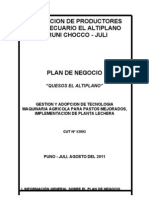 Plan de Negocio Jaruni Correjido