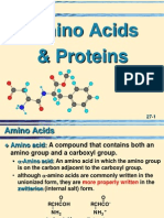 27 Amino Acids, Proteins