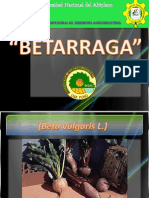 Betarraga