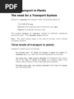 3.2.2 Transport in Plants The Need For A Transport System