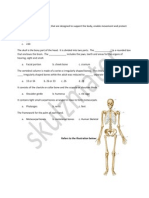 The Skeletal System