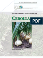 Nicaragua, Guía Práctica para La Exportación de Cebolla