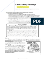 Auditory Pathway PDF