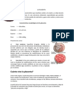 La Placenta Informe