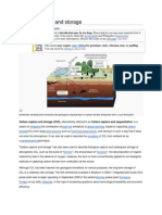 Carbon Capture and Storage