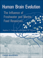 Human Brain Evolution: The Influence of Freshwater and Marine Food Resources