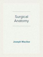 Surgical Anatomy