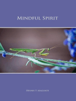 Mindful Spirit