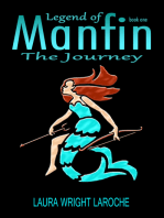 Legend of Manfin, The Journey, Book 1