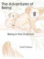 The Adventures of Being. Being in the Outback