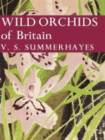 Wild Orchids of Britain