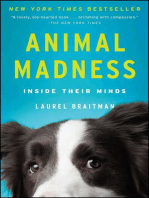 Animal Madness: How Anxious Dogs, Compulsive Parrots, and Elephants in Recovery Help Us Understand Ourselves