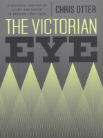 The Victorian Eye: A Political History of Light and Vision in Britain, 1800-1910