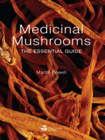 Medicinal Mushrooms: The Essential Guide