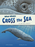 When Whales Cross the Sea: The Gray Whale Migration