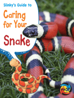 Slinky's Guide to Caring for Your Snake