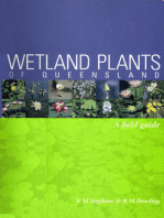 Wetland Plants of Queensland: A Field Guide