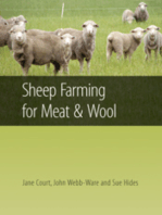 Sheep Farming for Meat and Wool