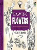 Drawing Flowers