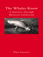 The Whales Know: A Journey through Mexican California