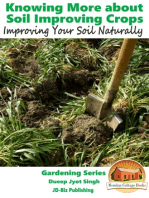 Knowing More about Soil Improving Crops: Improving Your Soil Naturally