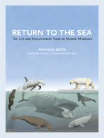 Return to the Sea: The Life and Evolutionary Times of Marine Mammals