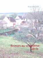 Brosses au vingtième siècle