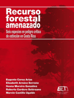 Recurso forestal amenazado: Seis especies en peligro crítico de extinción en Costa Rica