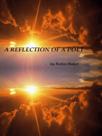 A Reflection of a Poet