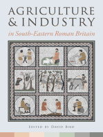 Agriculture and Industry in South-Eastern Roman Britain