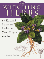 The Witching Herbs: 13 Essential Plants and Herbs for Your Magical Garden