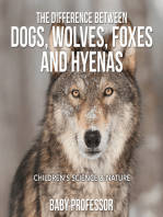 The Difference Between Dogs, Wolves, Foxes and Hyenas | Children's Science & Nature