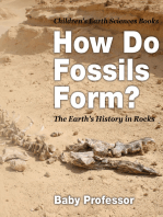 How Do Fossils Form? The Earth's History in Rocks | Children's Earth Sciences Books