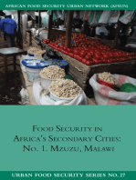 Food Security in Africa's Secondary cities: no. 1. Mzuzu, Malawi