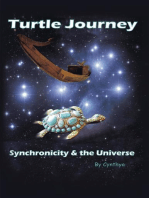 Turtle Journey: Synchronicity and the Universe