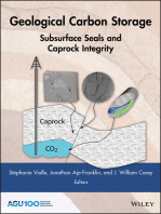 Geological Carbon Storage: Subsurface Seals and Caprock Integrity