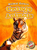 Orange Animals