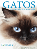 Gatos: Como escolher uma raça e cuidar