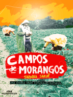 Campos de morangos: Uma história sobre exploração humana