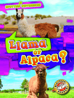 Llama or Alpaca?