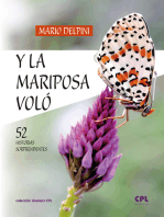 Y la mariposa voló: 52 historias sorprendentes