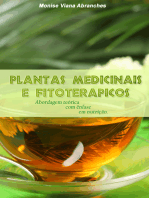 Plantas Medicinais e Fitoterápicos: abordagem teórica com ênfase em nutrição