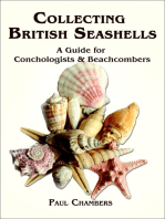 British Seashells: A Guide for Collectors and Beachcombers