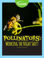 Pollinators: Working the Night Shift