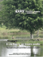 El río Negro, un tesoro oculto: Entre la acelerada suburbanización y la recuperación  ambiental. Una visión estratégica para 2050 y acciones para lograrla