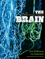 The Brain: Big Bangs, Behaviors, and Beliefs