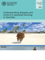 Understanding Diseases and Control in Seaweed Farming in Zanzibar