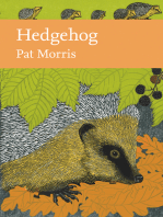 Hedgehog