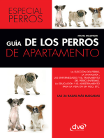 Guía de los perros de apartamento