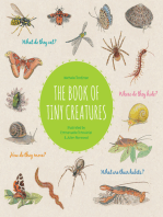 The Book of Tiny Creatures